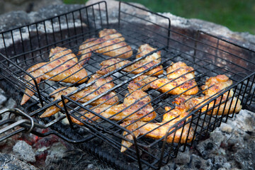 Appetizing grilled chicken wings are cooked, selective focus