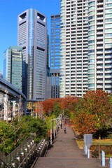 Obraz na płótnie Canvas Japanese city autumn - Shiodome Tokyo