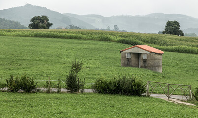 Beautiful green landscapes of northern Spain