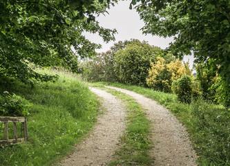 Beautiful green landscapes of northern Spain