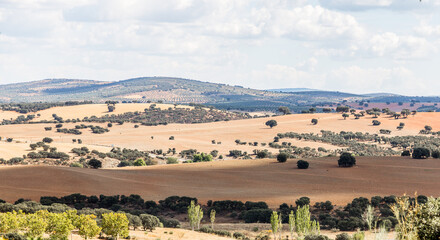 Autumn landscapes of the spanish countryside