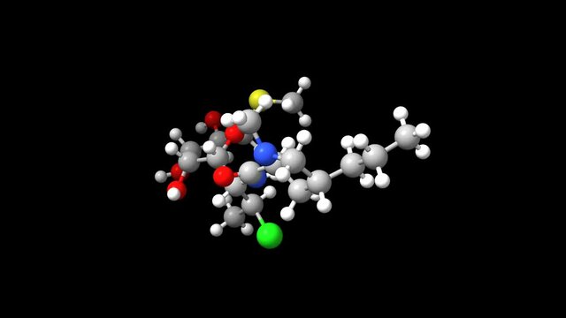 Animated 3D ball-and-stick and spacefill models of antibiotic clindamycin, black background