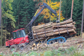 Forstarbeiter mit Spezialmaschinen bei der Holzernte. Baumstämme werden verladen.