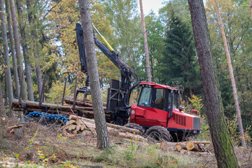 Fototapeta na wymiar Forstarbeiter mit Spezialmaschinen bei der Holzernte. Baumstämme werden verladen.