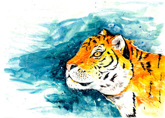 Watercolor realistic tiger ginger beautiful serious under snowfall on blue background. Fun Siberian tiger illustration. Hand drawing new year holiday greeting poster. Merry Christmas card and calendar