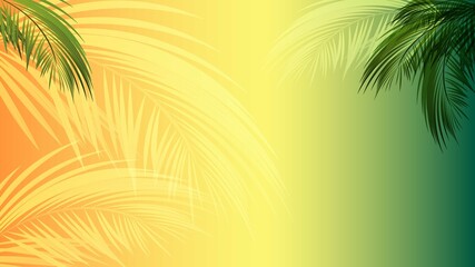 Vector palm tree on a sunset background