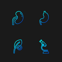 Fototapeta premium Set line Microscope, Leaf or leaves, Human kidney and stomach. Gradient color icons. Vector