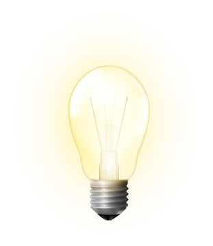 Lamp bulb vector