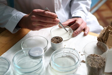 Laboratory experiments with hemp sativa