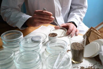 Laboratory experiments with hemp sativa