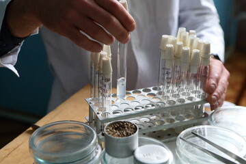 Sowing for phytopathogens. Hemp sativa laboratory research
