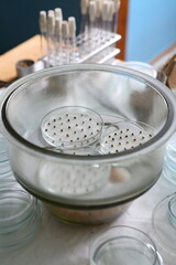 Scientist in the laboratory conducting experiments with hemp sativa