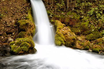 Waterfall in the autumn forest