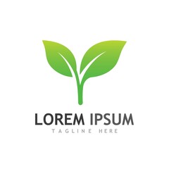 leaf logo and vector images