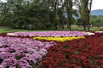 Botanical Garden in Beijing Fall 2021