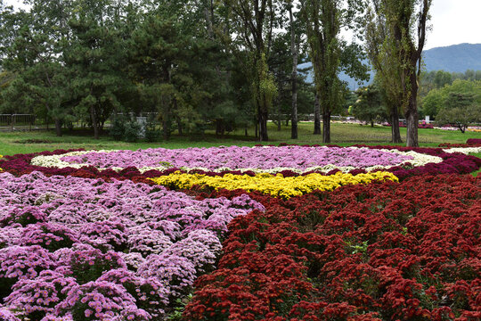 Botanical Garden in Beijing Fall 2021
