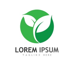 leaf logo and vector images