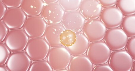 serum and vitamin through the skin layer for repair wrinkles skin 