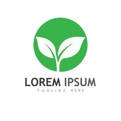 leaf logo and vector images