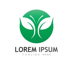 leaf logo and vector images