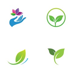 leaf logo and vector images