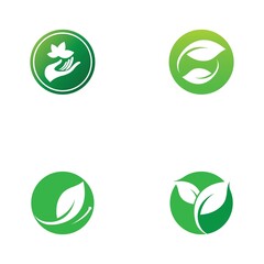 leaf logo and vector images