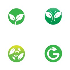 leaf logo and vector images