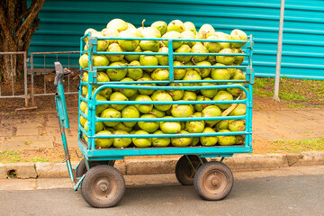 cart with green coconuts In the Ibirapuera Park in Sao Paulo, Brazil.