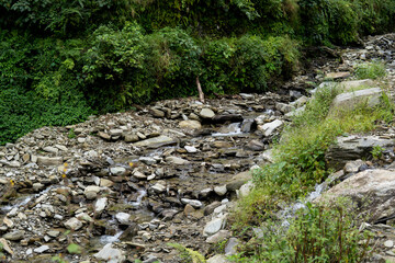 The landscape nature