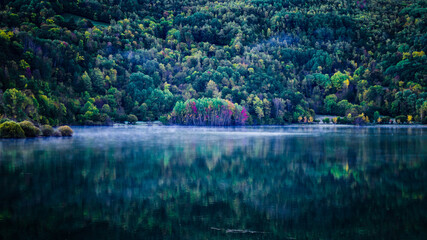 Fototapeta na wymiar Frío amanecer en un lago de montaña con árboles en el centro de la imagen de colores otoñales y niebla sobre el agua