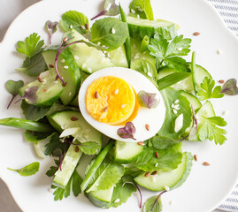 Fresh cucumber salad with micro greens and egg. Trending food. Top view.