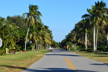 A street in Naples Florida 