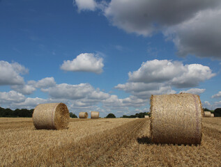Round straw bales in a field on a hot summer's day Near Wakefield West Yorkshire UK 