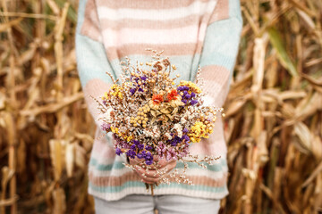 Woman with knitted sweater holding bouquet of dried flowers outdoors. Herbs and blossom dried plant in female hands