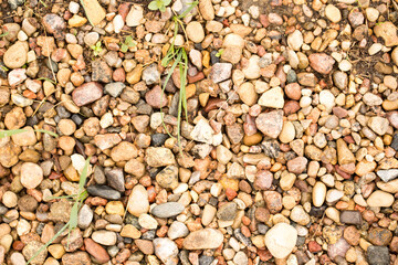 Assorted colorful and smooth pebbles from the beach