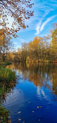 autumn trees reflected in water