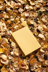 yellow book or planner on autumn leaves