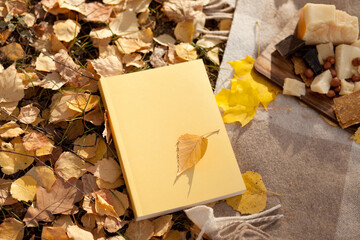 yellow book or planner on autumn leaves