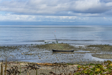 Fototapeta premium Pillar Point Shoreline
