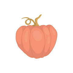 Pumpkin icon, hot pink fruit. Vector illustration of pumpkin for Halloween or harvest, badges for children's clothing or stationery