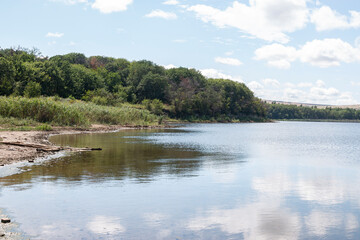 Obraz premium A lonely pine tree. Relict salt lake Tambukan. The place of extraction of therapeutic mud. Stavropol Territory, Russia