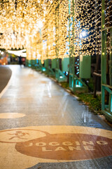 Christmas holiday abstract background, festive decoration with winter light shiny celebration