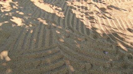 Paddy that has been harvested and dried