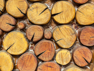 Fototapeta premium Several stumps of different sizes from a felled tree with annual rings. Pile of sawn wood logs for background or texture. Slice wood
