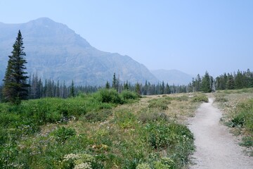 Fototapeta premium path with Mountain in Montana
