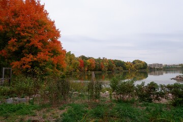 fall time lake in Minnesota