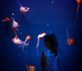 Schilderijen op glas cute little toddler girl visiting zoo aquarium. © konradbak
