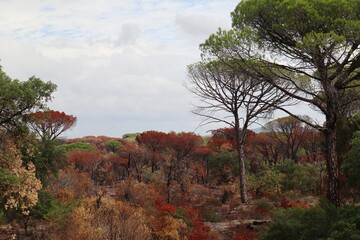 autumn in the mountains