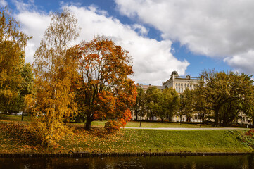 Obraz premium Autumn park with canal. Trees with yellow leaves. Cloudy day. Riga, Latvia.