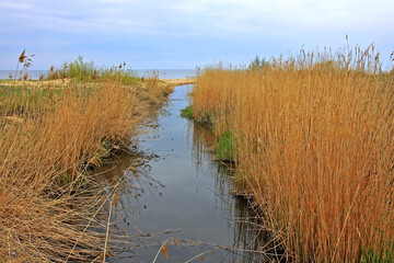 Baltic Sea coast